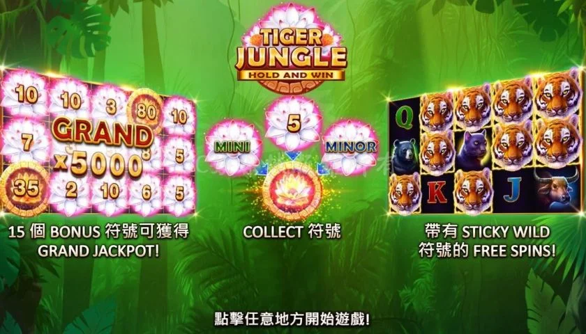 叢林之王 老虎機 諾亞娛樂城