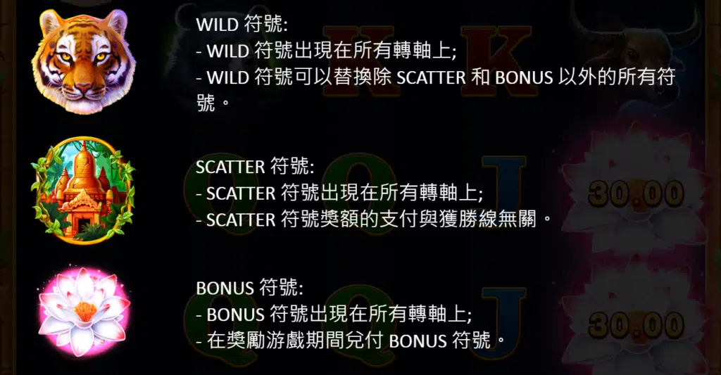 叢林之王 老虎機 諾亞娛樂城